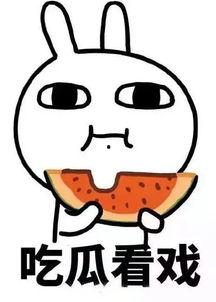 娱乐吃瓜酱问答