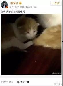娱乐吃瓜酱小动物视频