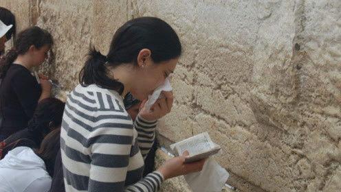 娱乐圈吃瓜人小说,瓜田里的秘密风云